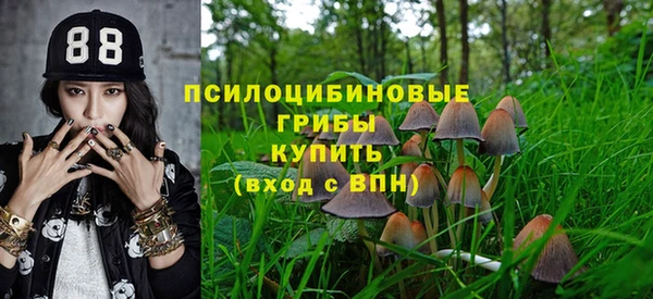 мдпв Баксан
