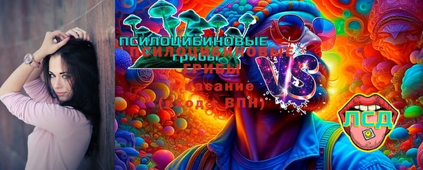 mdpv Балабаново