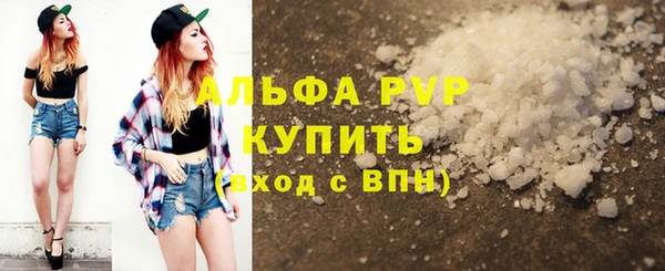 стаф Арсеньев