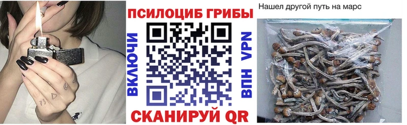 Галлюциногенные грибы Cubensis Усть-Джегута